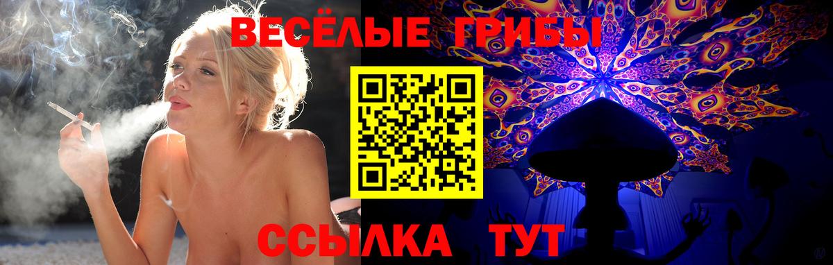 Галлюциногенные грибы Лыткарино